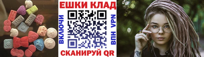 Купить закладки  Болхов  Ecstasy диски 