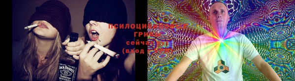 прущие крисы Ельня